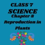 CBSE Class 7 Science Chapter 8 Reproduction in Plants Worksheet