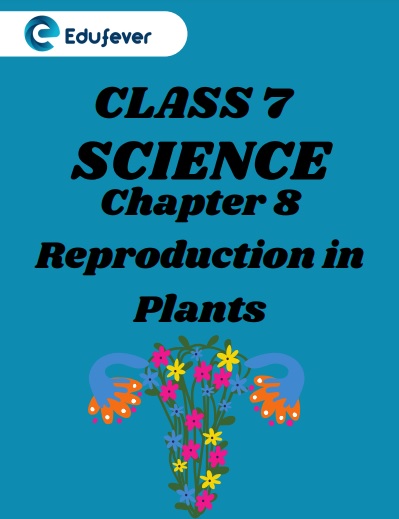CBSE Class 7 Science Chapter 8 Reproduction in Plants Worksheet
