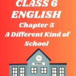 Class 6 A Different Kind of School Questions and Answers