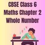 Class 6 Chapter 2 Whole Number Worksheet