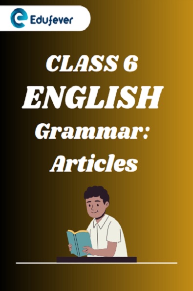 CBSE Class 6 English Grammar Articles Worksheet