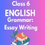 Class 6 English Grammar Grammar Essay Writing