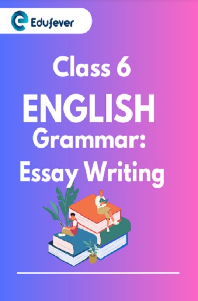 Class 6 English Grammar Grammar Essay Writing