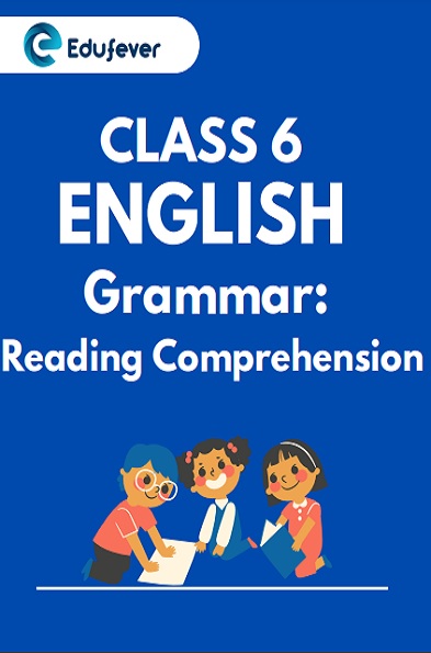 Class 6 English Grammar Reading Comprehension