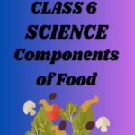 Class 6 Science Chapter 1 Components of Food