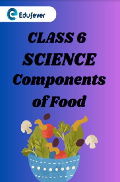 Class 6 Science Chapter 1 Components of Food