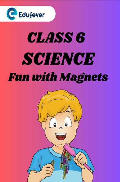 Class 6 Science Fun with Magnets Question Answer