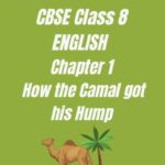 CBSE Class 8 Chapter 1 How The Camel Got His Hump Worksheet