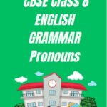 CBSE Class 8 Chapter 20 Pronouns Worksheet