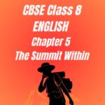 CBSE Class 8 Chapter 5 The Summit Within Worksheet