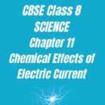 CBSE Class 8 Chapter 11 Chemical Effects Of Electric Current Worksheet