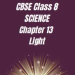 CBSE Class 8 Chapter 13 Light Worksheet