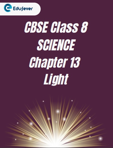 CBSE Class 8 Chapter 13 Light Worksheet