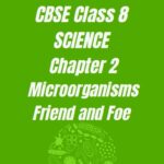 CBSE Class 8 Chapter 2 Microorganisms Friend and Foe Worksheet