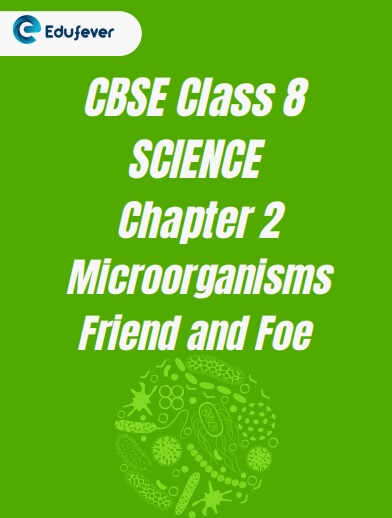 CBSE Class 8 Chapter 2 Microorganisms Friend and Foe Worksheet