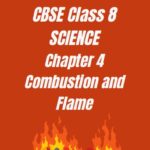 CBSE Class 8 Chapter 4 Combustion and Flame Worksheet