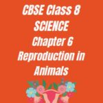 CBSE Class 8 Chapter 6 Reproduction in Animals Worksheet