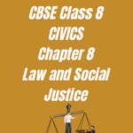 CBSE Class 8 Civics Chapter 8 Law And Social Justice Worksheet