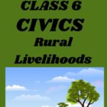 Class 6 Rural Livelihoods Questions and Answers