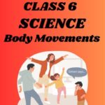 Class 6 Science Chapter 5 Body Movements