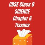 Class 9 Science Chapter 6 Tissues