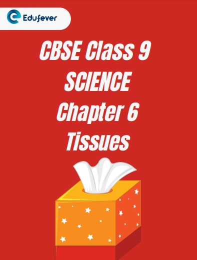 Class 9 Science Chapter 6 Tissues