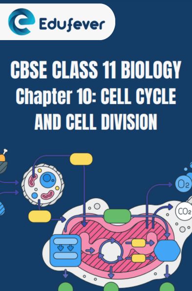 CBSE CLASS 11 BIOLOGY CELL CYCLE AND CELL DIVISION NOTES