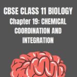 CBSE Class11 Biology Chemical Coordination And Integration Notes