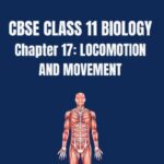 CBSE CLASS 11 BIOLOGY LOCOMOTION AND MOVEMENT Notes