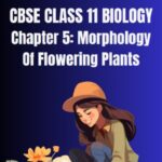 CBSE CLASS 11 BIOLOGY Morphology Of Flowering Plants Notes