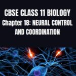 CBSE CLASS 11 BIOLOGY NEURAL CONTROL AND COORDINATION Notes
