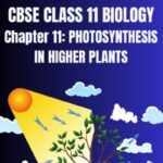 CBSE CLASS 11 BIOLOGY PHOTOSYNTHESIS IN HIGHER PLANTS Notes