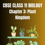 CBSE CLASS 11 BIOLOGY Plant Kingdom Notes