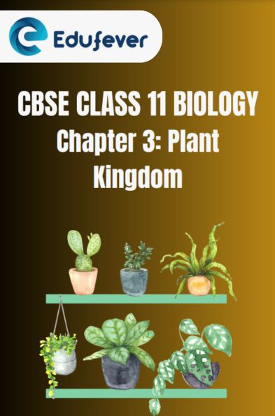 CBSE CLASS 11 BIOLOGY Plant Kingdom Notes
