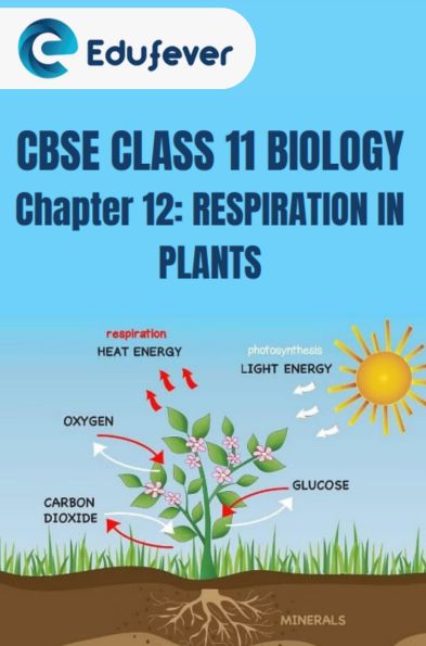 CBSE CLASS 11 BIOLOGY RESPIRATION IN PLANTS Notes