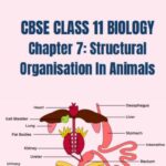 CBSE CLASS 11 BIOLOGY Structural Organisation In Animals Notes