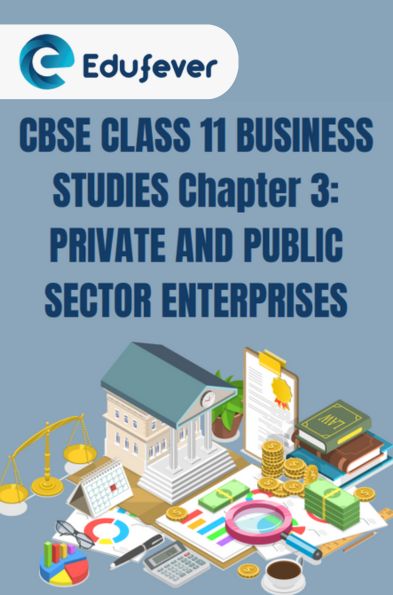 CBSE Class 11 Business Studies Private And Public Sector Enterprises Notes