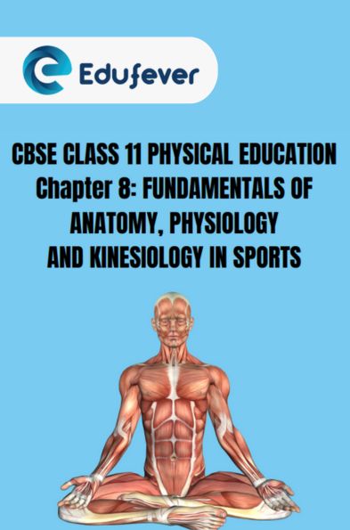 CBSE Class 11 Physical Education Chapter 8 Notes