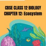 CBSE Class 12 Biology Ecosystem PDF