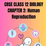 CBSE Class 12 Biology Human Reproduction PDF