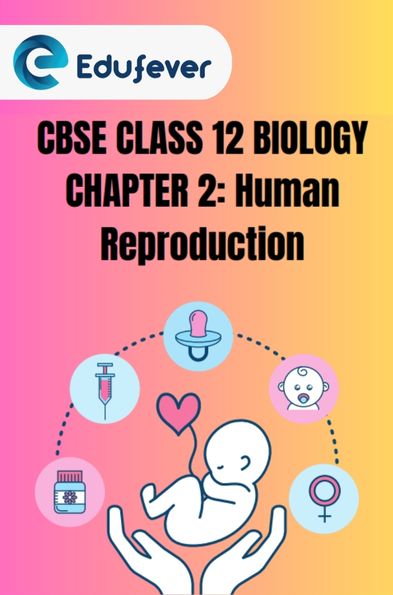 CBSE Class 12 Biology Human Reproduction PDF