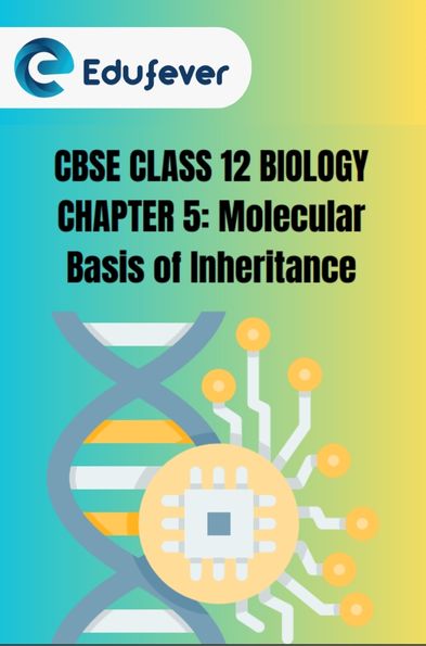 CBSE Class 12 Biology Molecular Basis of Inheritance PDF
