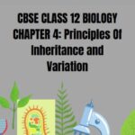 CBSE Class 12 Biology Principles Of Inheritance And Variation PDF