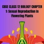 CBSE Class 12 Biology Sexual Reproduction In Flowering Plants PDF