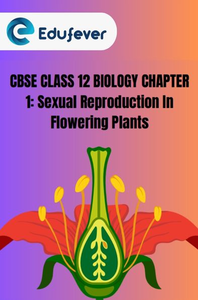 CBSE Class 12 Biology Sexual Reproduction In Flowering Plants PDF