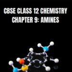 CBSE Class 12 Chemistry Amines Important Questions